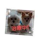 LUNA＆SEAです。病院編～（個別スタンプ：1）