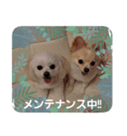 LUNA＆SEAです。病院編～（個別スタンプ：2）