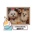 LUNA＆SEAです。病院編～（個別スタンプ：3）