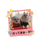LUNA＆SEAです。病院編～（個別スタンプ：5）