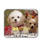 LUNA＆SEAです。病院編～（個別スタンプ：7）