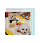 LUNA＆SEAです。病院編～（個別スタンプ：8）
