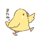 気まぐれインコのピーちゃん（個別スタンプ：5）