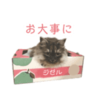 ねこのジゼル2（個別スタンプ：2）