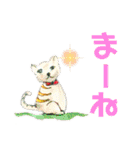 デカ文字 手描きほっこり絵と写真 猫犬魚（個別スタンプ：6）