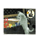 デカ文字 手描きほっこり絵と写真 猫犬魚（個別スタンプ：29）