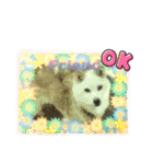 デカ文字 手描きほっこり絵と写真 猫犬魚（個別スタンプ：30）