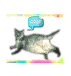 デカ文字 手描きほっこり絵と写真 猫犬魚（個別スタンプ：32）