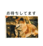 デカ文字 手描きほっこり絵と写真 猫犬魚（個別スタンプ：33）