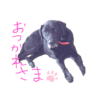 デイまめの日常会話（個別スタンプ：2）