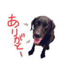 デイまめの日常会話（個別スタンプ：6）