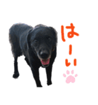 デイまめの日常会話（個別スタンプ：18）