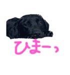 デイまめの日常会話（個別スタンプ：20）