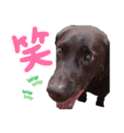 デイまめの日常会話（個別スタンプ：23）