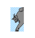 キラにゃんこのイラスト（個別スタンプ：2）
