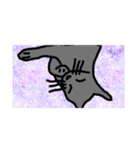 キラにゃんこのイラスト（個別スタンプ：3）