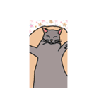 キラにゃんこのイラスト（個別スタンプ：4）