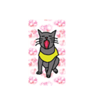 キラにゃんこのイラスト（個別スタンプ：7）