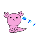 ウーパールーパー子（個別スタンプ：10）
