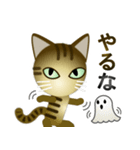 猫の日ごろ13 サビネコのハロウィン（個別スタンプ：11）