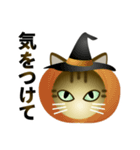 猫の日ごろ13 サビネコのハロウィン（個別スタンプ：20）