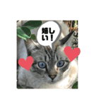 愉快な生き物達！（個別スタンプ：3）