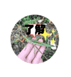 愉快な生き物達！（個別スタンプ：6）