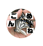 愉快な生き物達！（個別スタンプ：9）