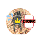 愉快な生き物達！（個別スタンプ：11）