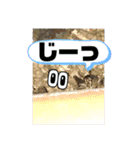 愉快な生き物達！（個別スタンプ：14）