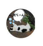 愉快な生き物達！（個別スタンプ：16）