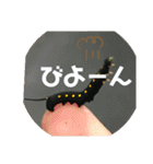 愉快な生き物達！（個別スタンプ：19）