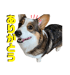 そらちゃん"No.1"（個別スタンプ：3）