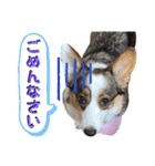 そらちゃん"No.1"（個別スタンプ：4）