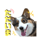 そらちゃん"No.1"（個別スタンプ：10）