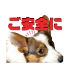 そらちゃん"No.1"（個別スタンプ：11）