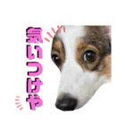 そらちゃん"No.1"（個別スタンプ：12）