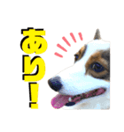 そらちゃん"No.1"（個別スタンプ：13）