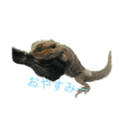 水族かんスタンぷ（個別スタンプ：2）