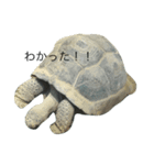 水族かんスタンぷ（個別スタンプ：7）
