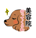 日常生活 犬 猫 うさぎ（個別スタンプ：1）