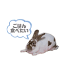 ミニレッキスのだいふくちゃん2（個別スタンプ：3）
