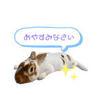 ミニレッキスのだいふくちゃん2（個別スタンプ：6）