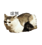虚無ザック（個別スタンプ：1）