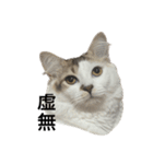 虚無ザック（個別スタンプ：2）
