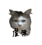 虚無ザック（個別スタンプ：4）