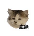 虚無ザック（個別スタンプ：6）