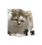 虚無ザック（個別スタンプ：7）