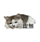 虚無ザック（個別スタンプ：10）