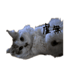 虚無ザック（個別スタンプ：14）